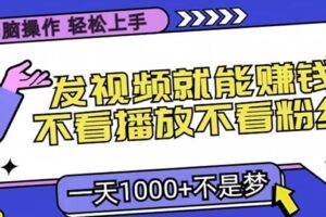 （13283期）无脑操作，只要发视频就能赚钱？不看播放不看粉丝，小白轻松上手，一天…