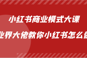 小红书商业模式大课，业界大佬教你小红书怎么做【视频课】