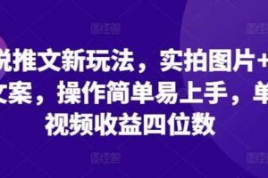 小说推文新玩法，实拍图片+小说文案，操作简单易上手，单条视频收益四位数