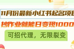 （13256期）11月份最新小红书起名项目，抄作业就能日变现1000+，可招代理，无限裂变