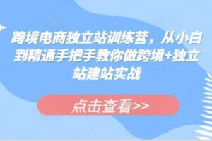 跨境电商独立站训练营，从小白到精通手把手教你做跨境+独立站建站实战