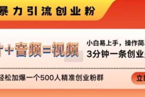 抖音最新暴力引流创业粉，3分钟一条创业类视频，24h轻松加爆一个500人精准创业粉群【揭秘】