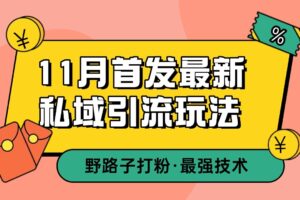 11月首发最新私域引流玩法，自动克隆爆款一键改写截流自热一体化 日引300+精准粉