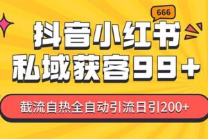 （13421期）某音，小红书，野路子引流玩法截流自热一体化日引200+精准粉 单日变现3…