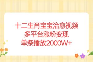 （13837期）十二生肖宝宝治愈视频，多平台涨粉变现，单条播放2000W+