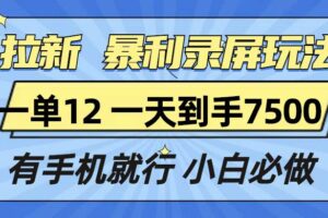 （13836期）拉新暴利录屏玩法，一单12块，一天到手7500，有手机就行