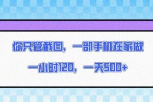 （13785期）你只管截图，一部手机在家做，一小时120，一天500+