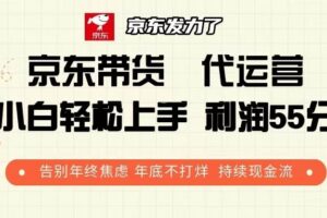 （13833期）京东带货 代运营 利润55分 告别年终焦虑 年底不打烊 持续现金流