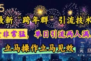 最新“跨年群”引流，流量非常猛，单日引流两人满人群，立马操作立马见效【揭秘】