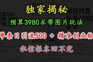 预算3980求带 图片玩法，单条日引流500+精准创业粉，私信根本回不完