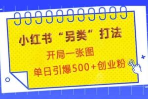 小红书“另类”打法，开局一张图，单日引爆500+精准创业粉【揭秘】