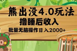 （13666期）熊出没4.0新玩法，软件加持，新手小白无脑矩阵操作，日入2000+