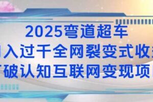 2025弯道超车日入过K全网裂变式收益打破认知互联网变现项目【揭秘】