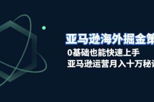 （13644期）亚马逊海外掘金策略，0基础也能快速上手，亚马逊运营月入十万秘诀