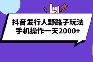 （13657期）抖音发行人野路子玩法，手机操作一天2000+