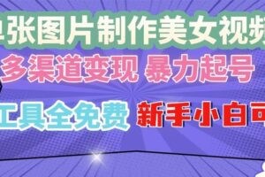 （13610期）单张图片作美女视频 ，多渠道变现 暴力起号，所有工具全免费 ，新手小…