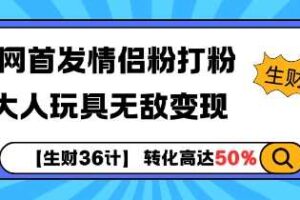 【生财36计】全网首发情侣粉打粉+大人玩具无敌变现