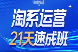 淘系运营21天速成班第34期-搜索最新玩法和25年搜索趋势