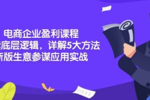 （13815期）电商企业盈利课程：解读底层逻辑，详解5大方法论，新版生意参谋应用实战