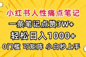 （13637期）小红书人性痛点笔记，一条笔记点赞3W+，轻松日入1000+，小白秒上手