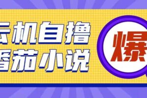 首发云手机自撸小说玩法，10块钱成本可撸200+收益操作简单【揭秘】