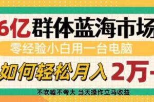 6亿群体蓝海市场，零经验小白用一台电脑，如何轻松月入过w【揭秘】