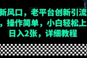 流量新风口，老平台创新引流隐藏玩法，操作简单，小白轻松上手，日入2张，详细教程