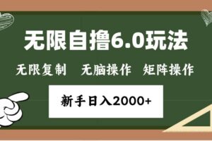 （13624期）年底无限撸6.0新玩法，单机一小时18块，无脑批量操作日入2000+