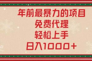 （13773期）年前最暴力的项目，免费代理，轻松上手，日入1000+