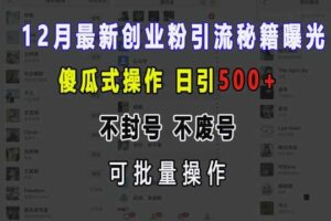 12月最新创业粉引流秘籍曝光 傻瓜式操作 日引500+ 不封号 不废号 可批量操作【揭秘】