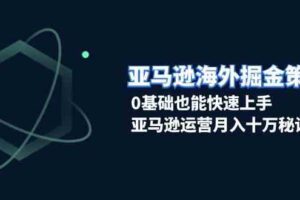 亚马逊海外掘金策略，0基础也能快速上手，亚马逊运营月入十万秘诀