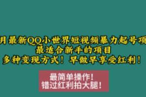 12月最新QQ小世界短视频暴力起号项目，最适合新手的项目，多种变现方式