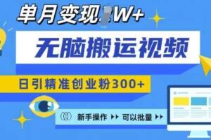 无脑搬运视频号可批量复制，新手即可操作，日引精准创业粉300+，月变现过W 【揭秘】