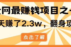 （13674期）小白必学项目，纯手机简单操作收益非常高!年前翻身！