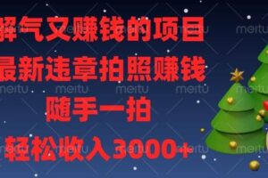 （13804期）解气又赚钱的项目，最新违章拍照赚钱，随手一拍，轻松收入3000+