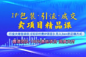 （13780期）《IP包装·暴力引流·闪电成交卖项目精品课》如何在众多导师中脱颖而出？