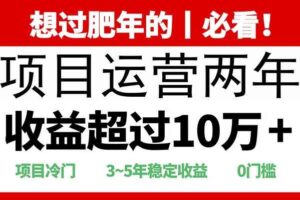 （13952期）2025快递站回收玩法：收益超过10万+，项目冷门，0门槛