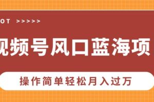 （13945期）视频号风口蓝海项目，中老年人的流量密码，操作简单轻松月入过万