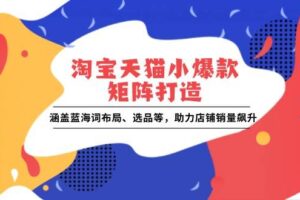 （13882期）淘宝天猫小爆款矩阵打造：涵盖蓝海词布局、选品等，助力店铺销量飙升