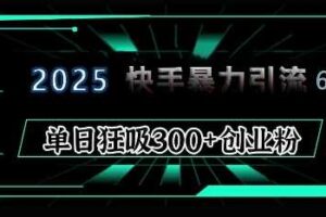 2025年快手6.0保姆级教程震撼来袭，单日狂吸300+精准创业粉