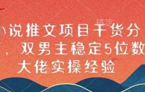 小说推文项目干货分享，双男主稳定5位数大佬实操经验