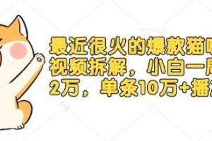 最近很火的爆款猫咪做饭视频拆解，小白一周涨粉2万，单条10万+播放(附保姆级教程)