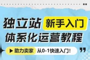 独立站新手入门体系化运营教程，助力独立站卖家从0-1快速入门!