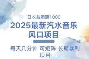 （13894期）2025最新汽水音乐躺赚项目 每天几分钟 日入1000＋