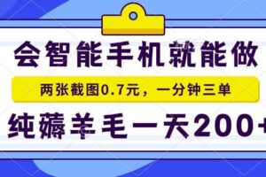 （13943期）会智能手机就能做，两张截图0.7元，一分钟三单，纯薅羊毛一天200+