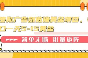 （13929期）俄罗斯广告浏览撸美金项目，单窗口一天5-15美金