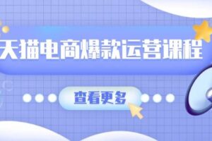 （13910期）天猫电商爆款运营课程，爆款卖点提炼与流量实操，多套模型全面学习